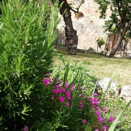 La Casa Del Fotografo Daire Colle Val D'Elsa Dış mekan fotoğraf