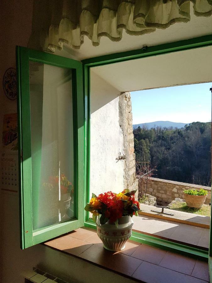 La Casa Del Fotografo Daire Colle Val D'Elsa Dış mekan fotoğraf