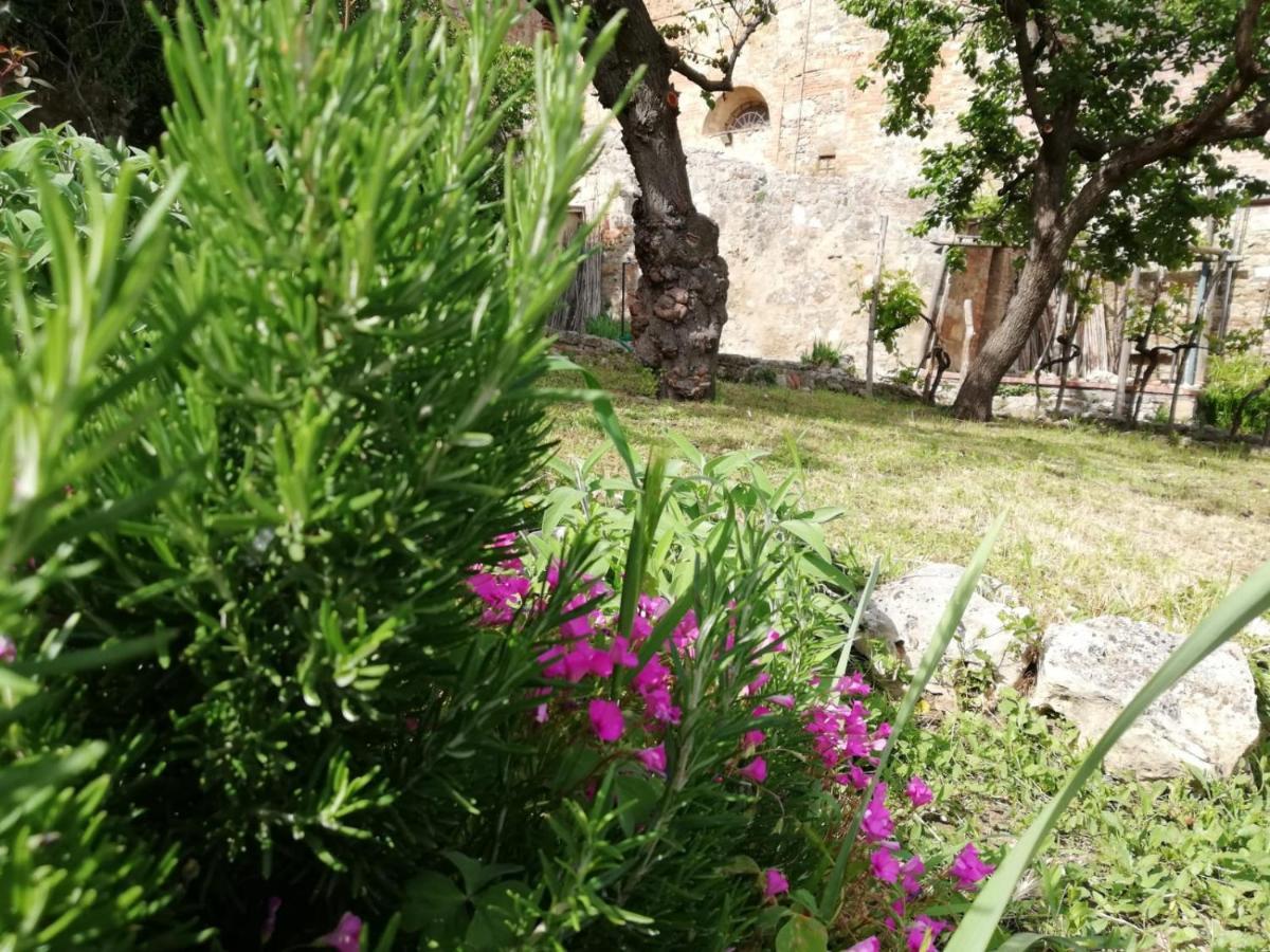 La Casa Del Fotografo Daire Colle Val D'Elsa Dış mekan fotoğraf
