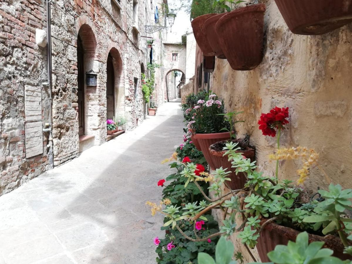 La Casa Del Fotografo Daire Colle Val D'Elsa Dış mekan fotoğraf